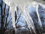 Icicles from the last big snow of winter.